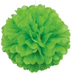 Green Pom Pom Puff Ball