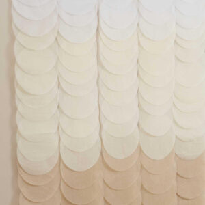 Neutral Ombre Tissue Paper Disc Party Backdrop
